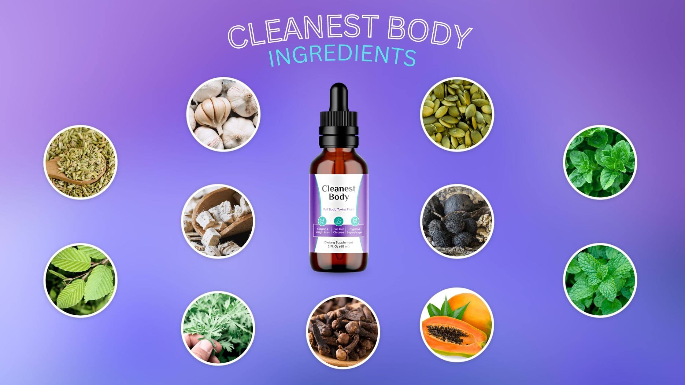 Cleanest Body Ingredients