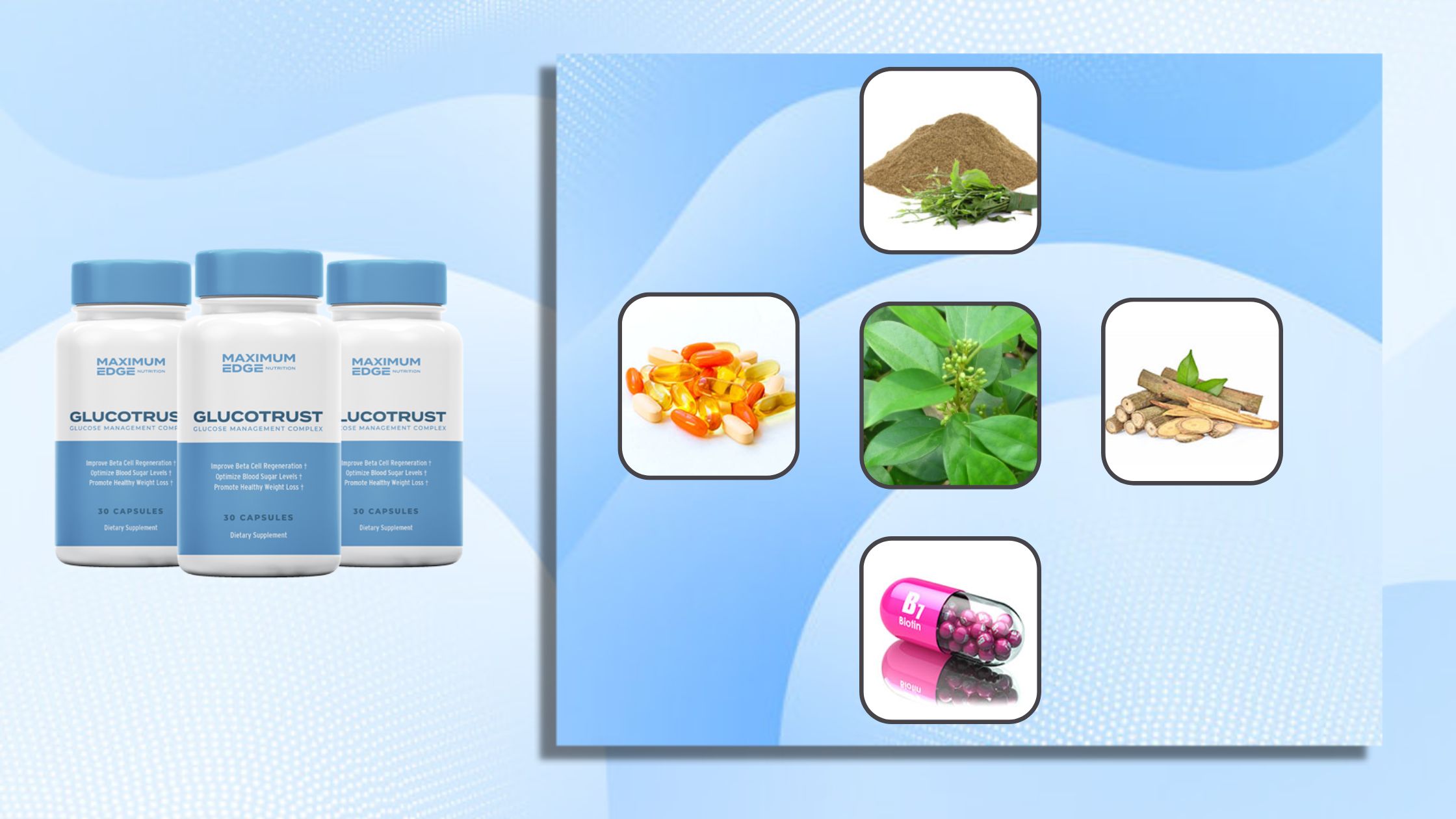 GlucoTrust Ingredients