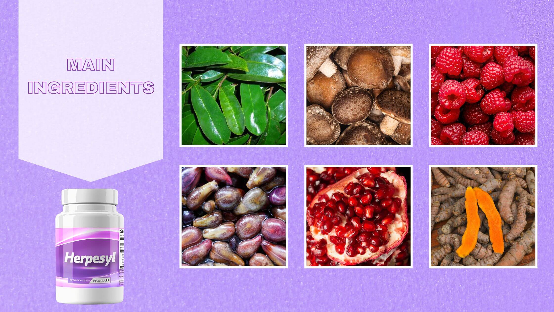 Herpesyl Ingredients