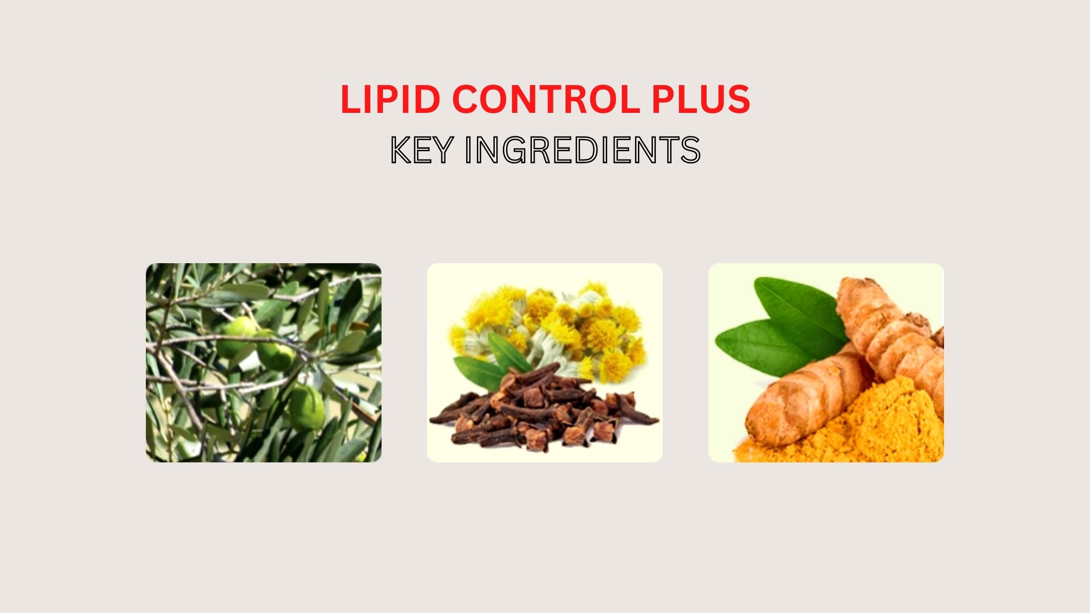 Lipid Control Plus Ingredients