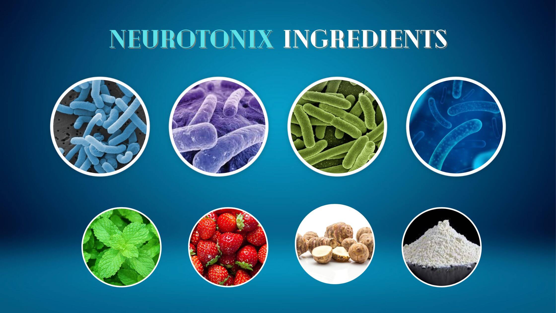 NeuroTonix Ingredients