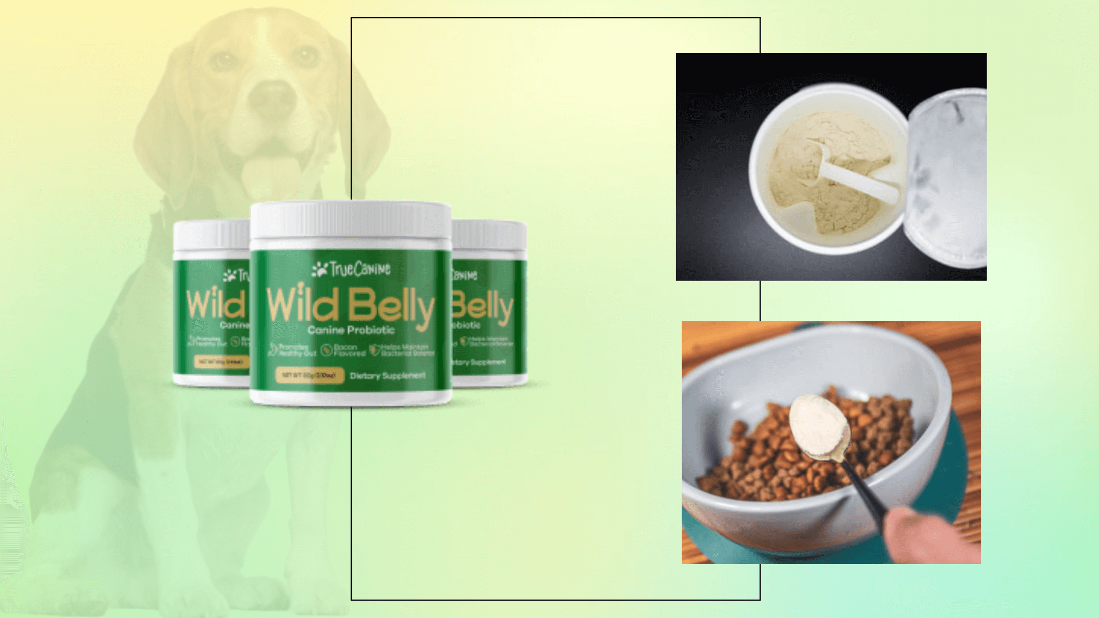 Wild Belly Dog Probiotic Benefits