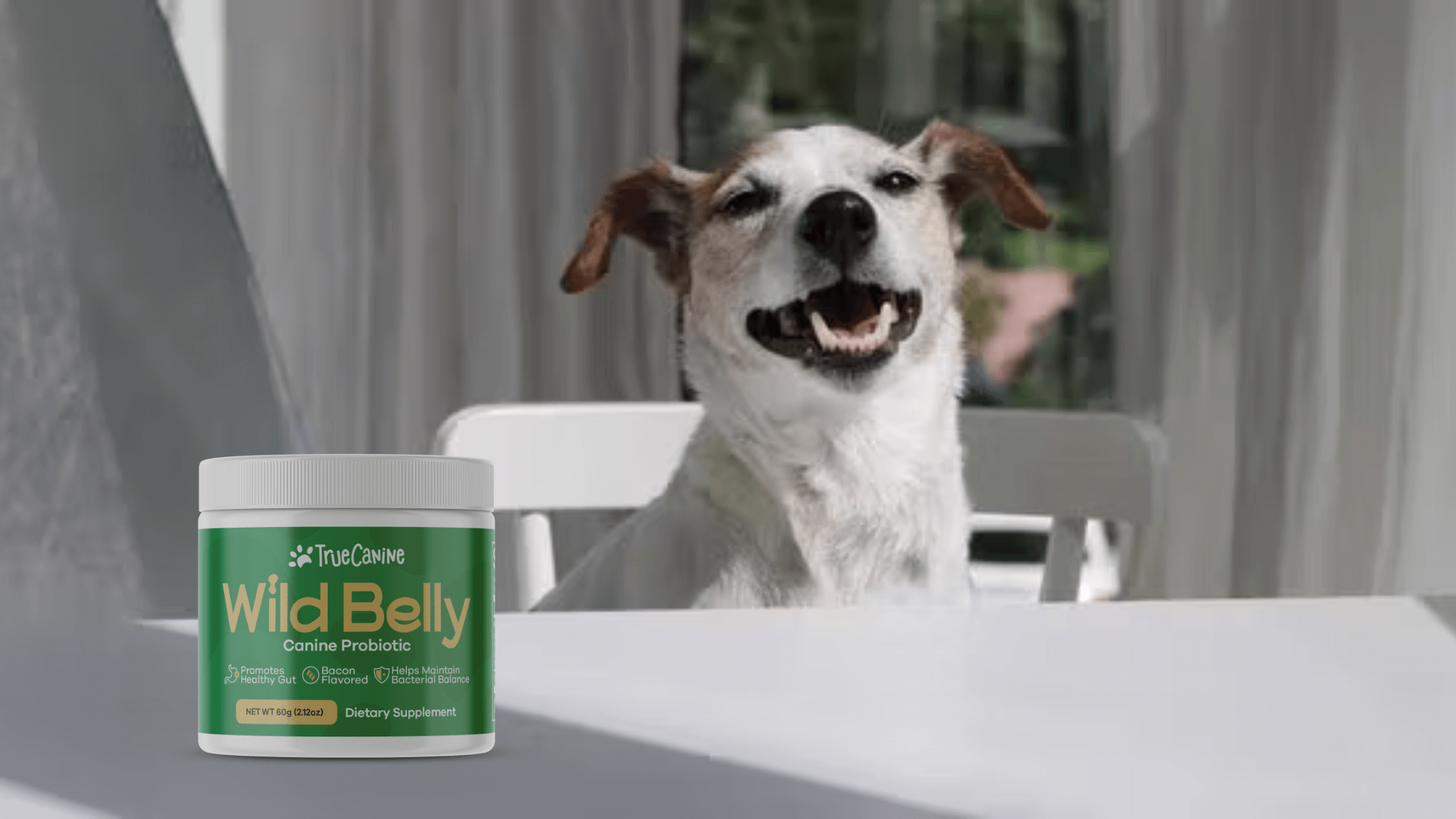 Wild Belly Dog Probiotic Doggie Health Supplement