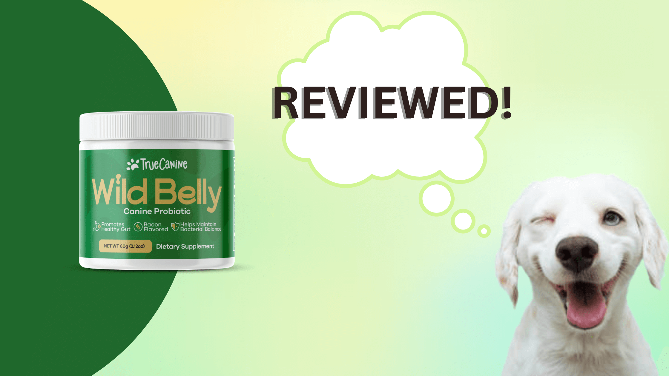 Wild Belly Dog Probiotic Review