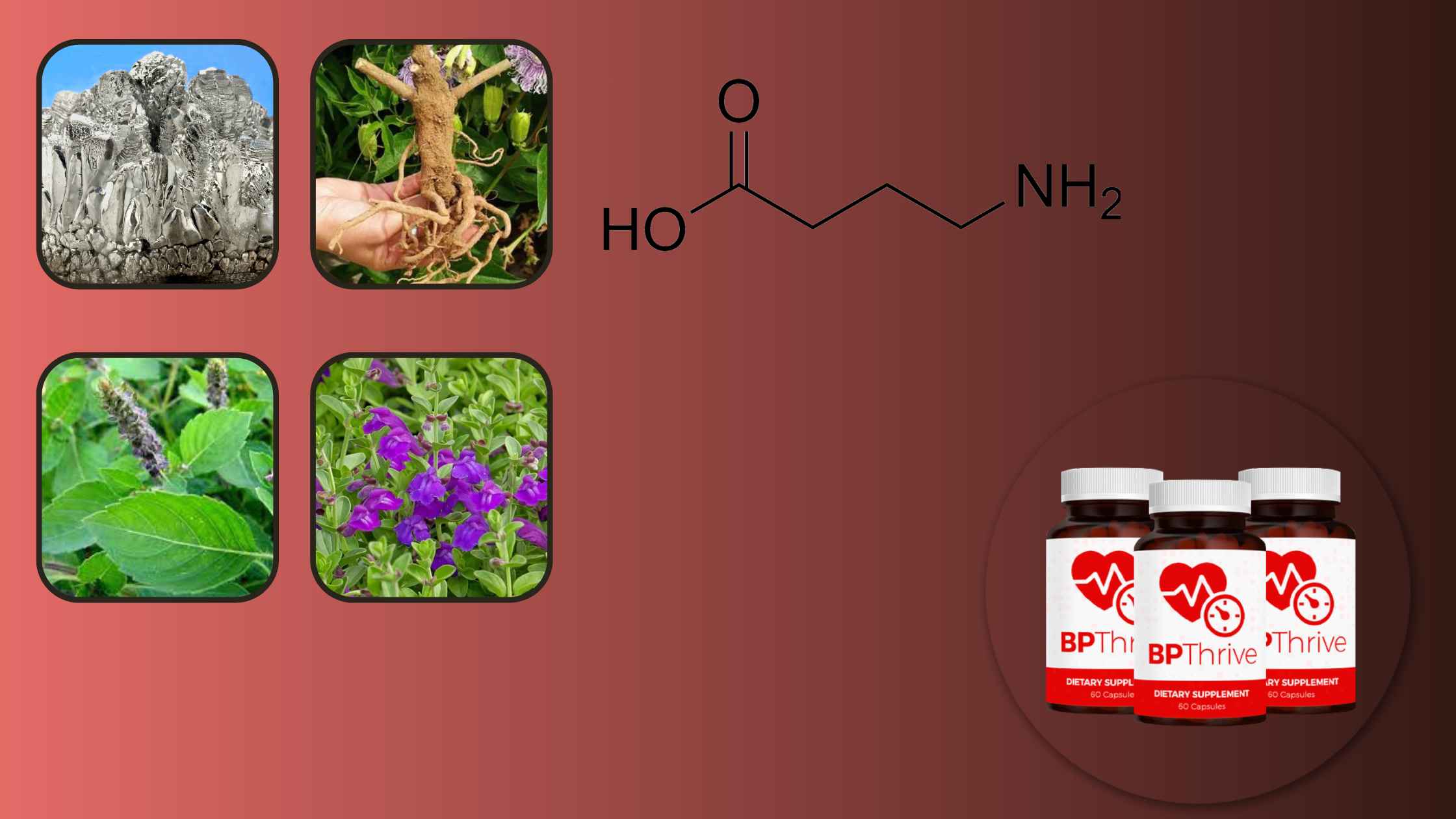 BP Thrive Ingredients