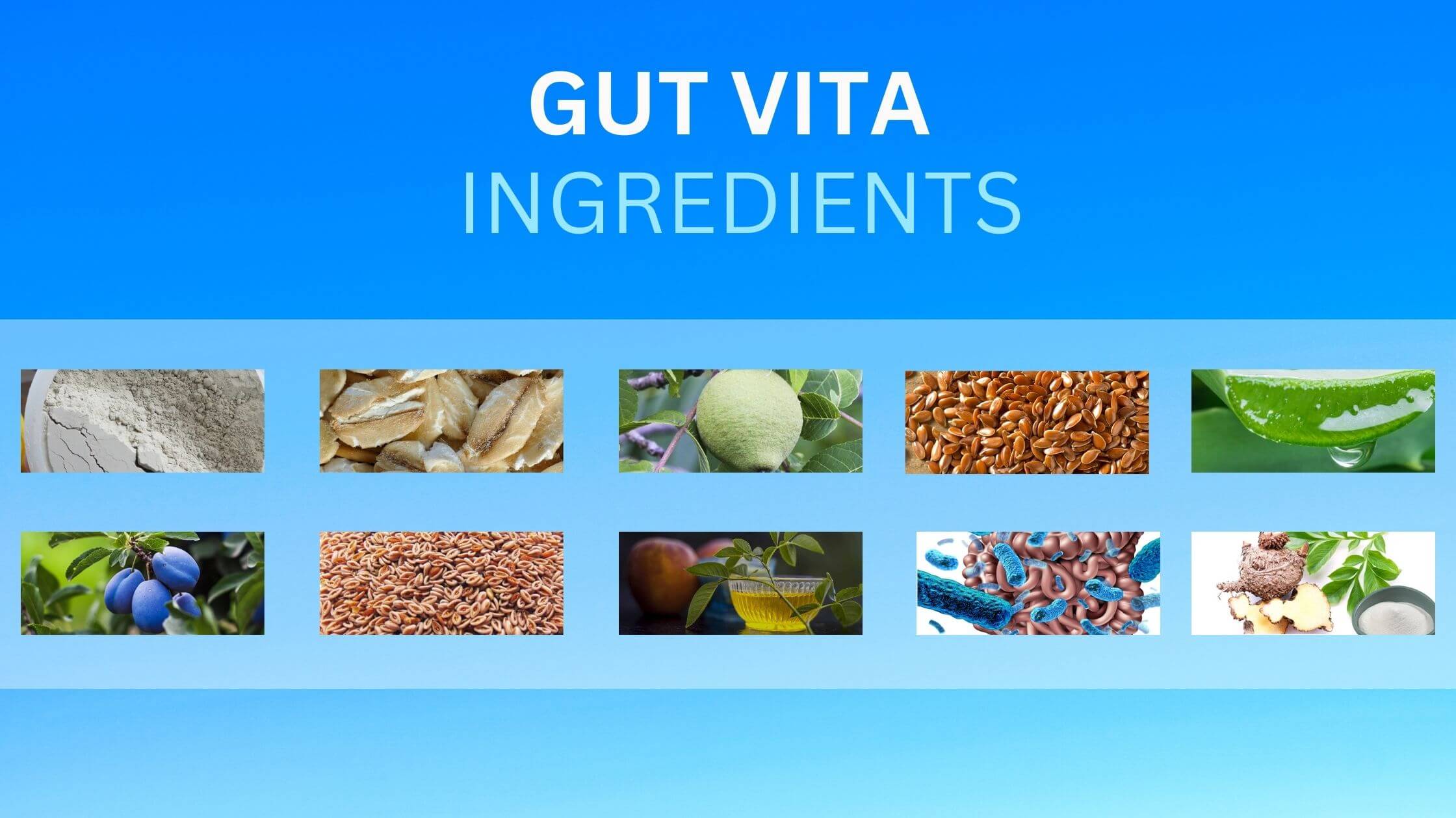 Gut Vita Ingredients