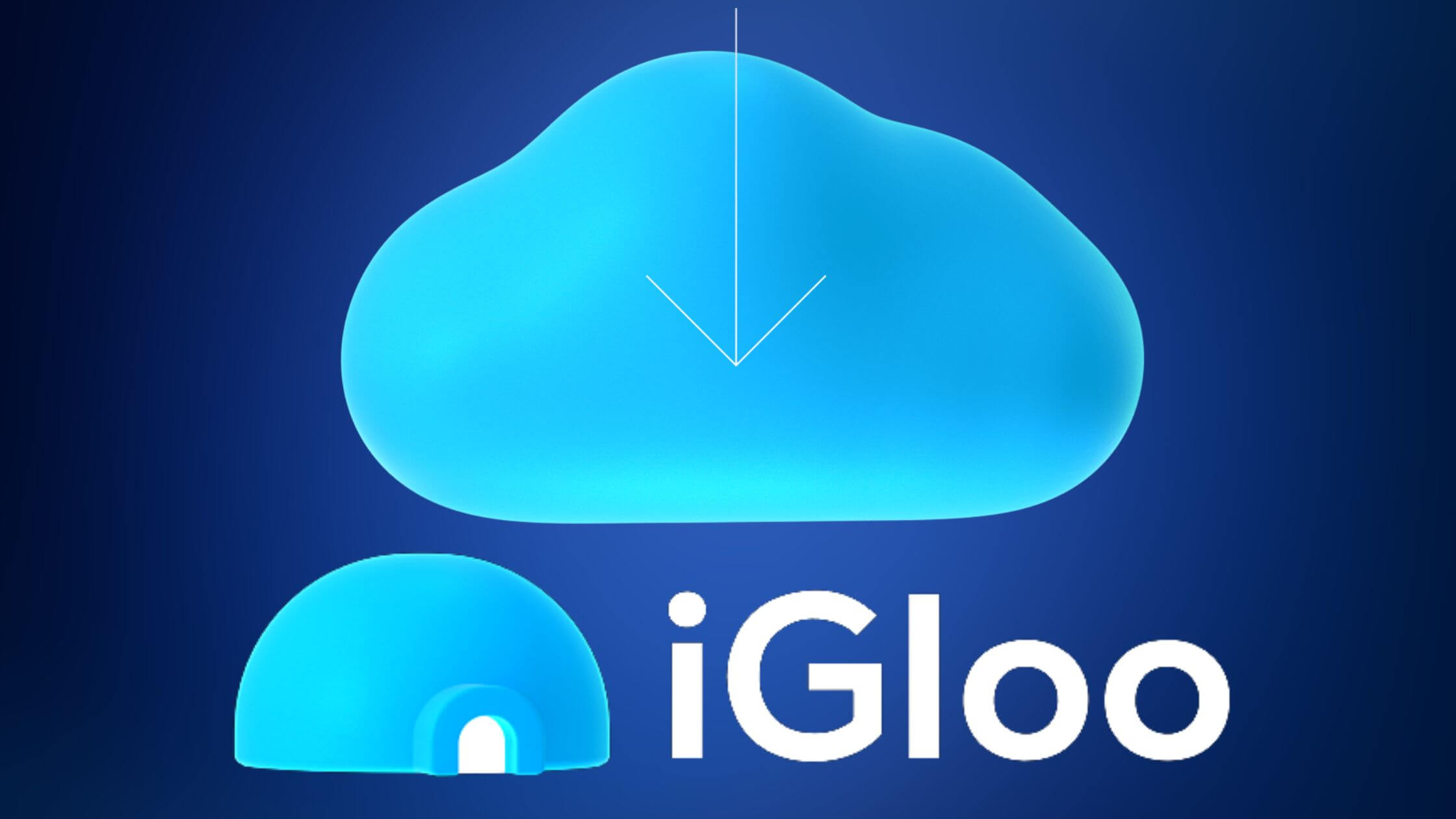 Igloo Reborn Software