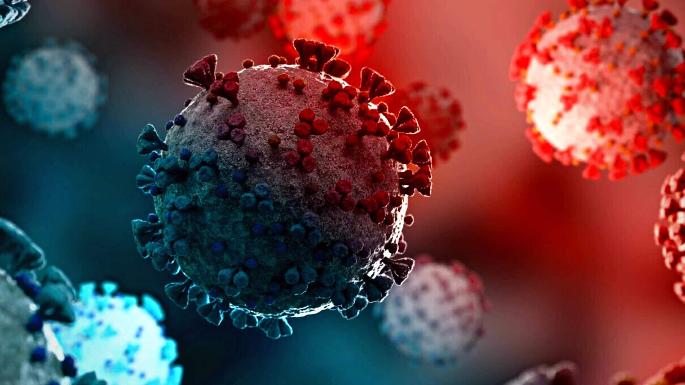 One Step Closer Towards Universal Flu Vaccine