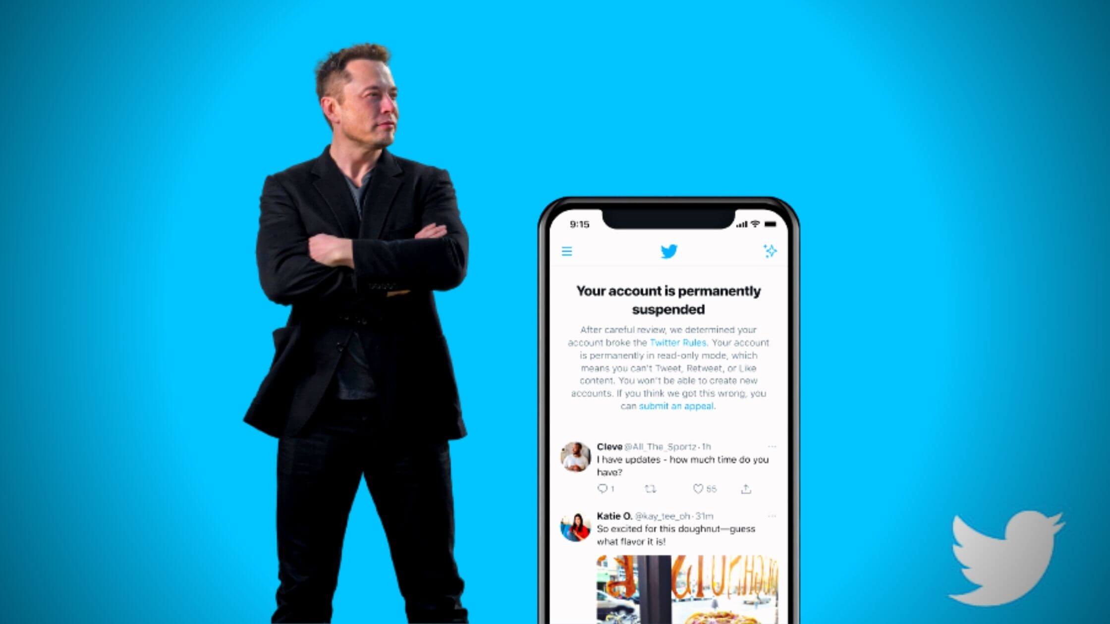Certain Twitter Accounts Will Receive Amnesty From Elon Musk