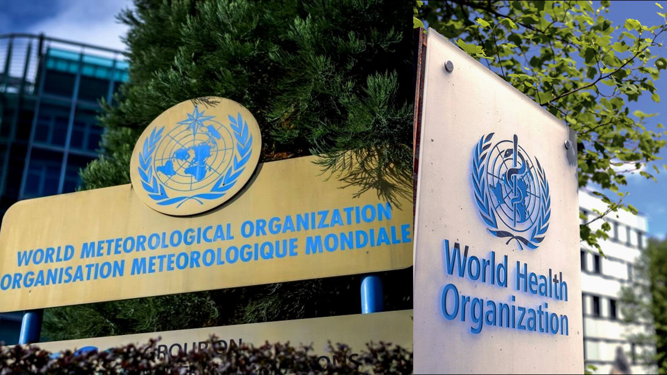 WMO And WHO Introduce A New Climate And Health Knowledge Platform