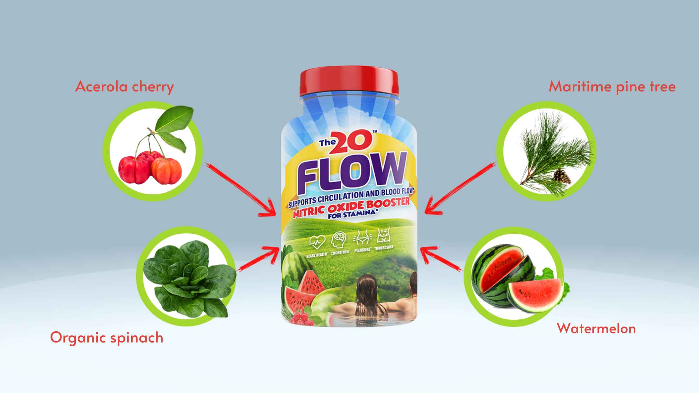 The 20 Flow Ingredients