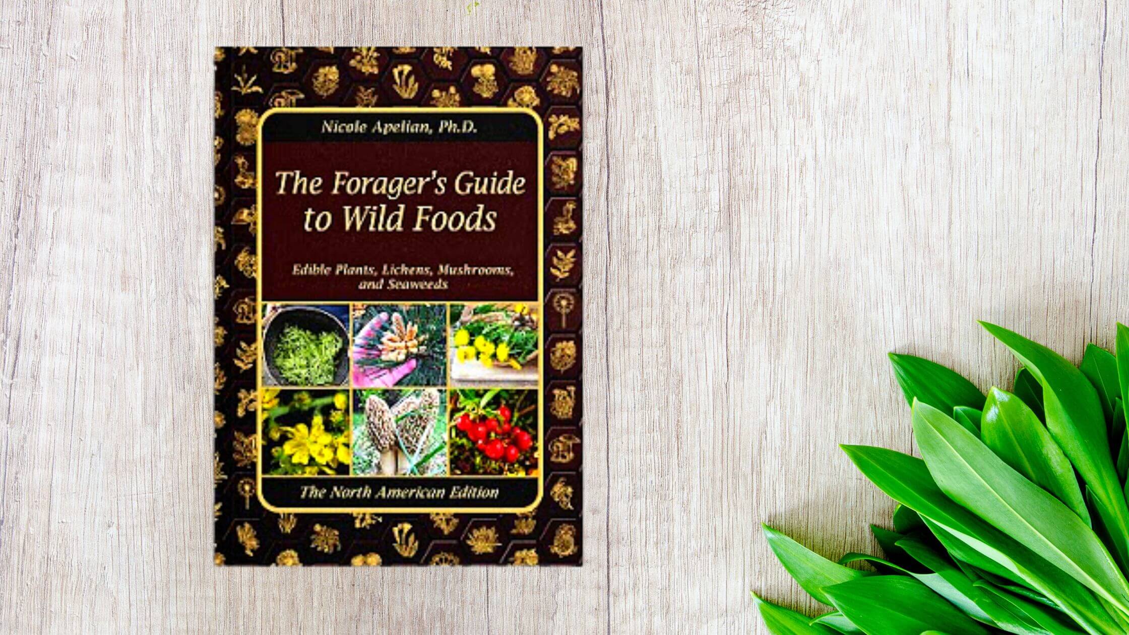 The Forager's Guide To Wild Foods Review