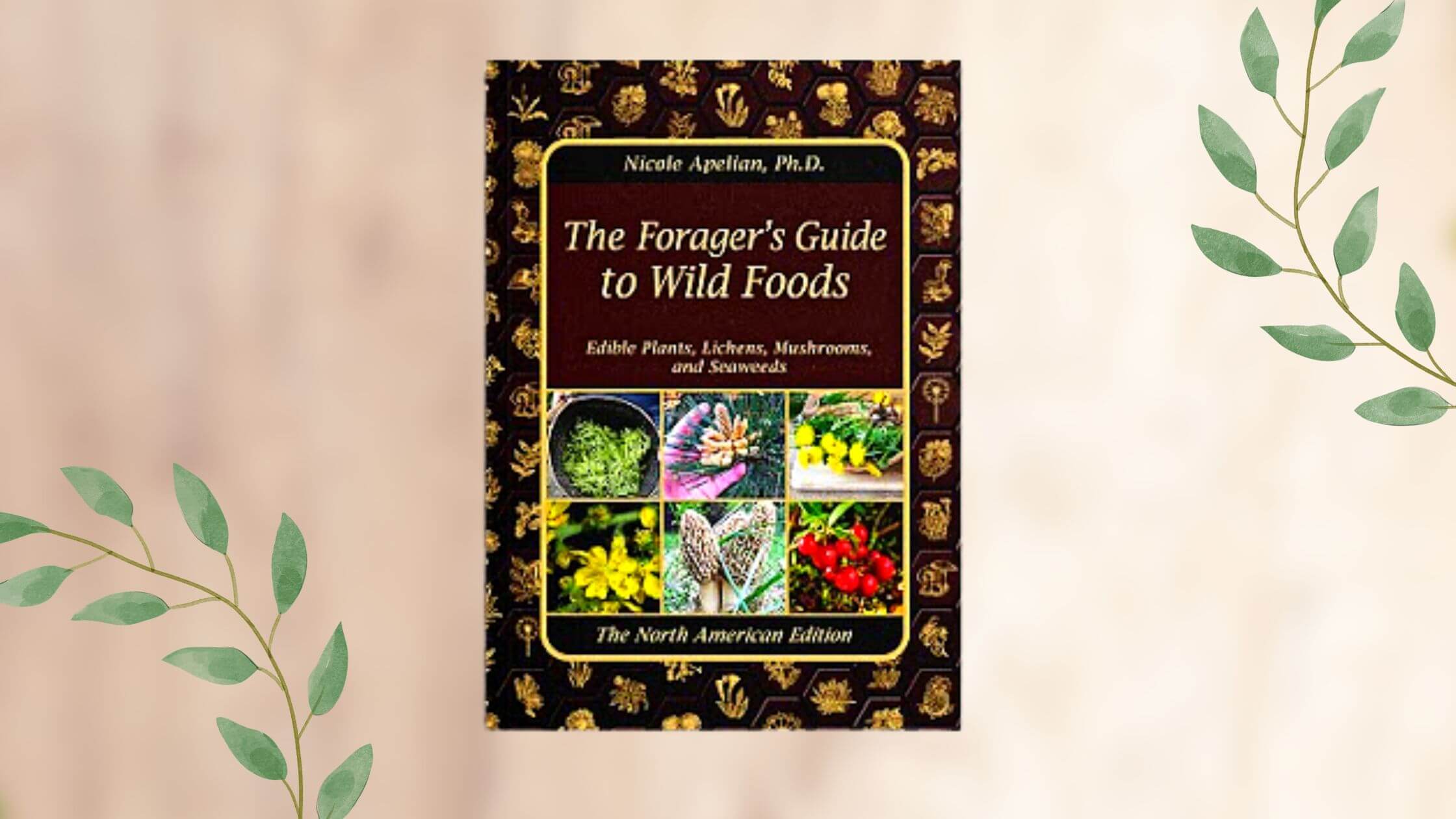 The Forager's Guide To Wild Foods Reviews