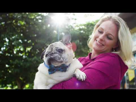 Learn More About Hannah's Unique, Revolutionary Approach to Pet Care